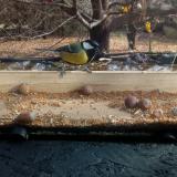 photo 2021-11-10 10-53-54