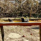 photo 2021-03-13 09-26-15