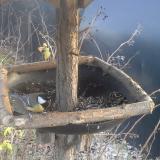 photo 2019-12-29 14-56-12