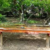 photo 2021-04-30 14-10-10