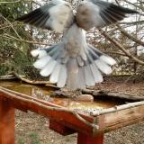 photo 2022-03-17 10-10-05