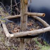 photo 2019-01-01 14-30-59