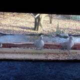 photo 2021-12-04 14-25-58