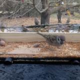 photo 2021-11-10 12-27-52