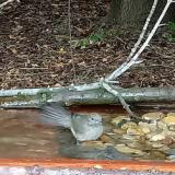 photo 2021-09-07 14-55-25 baratposzata