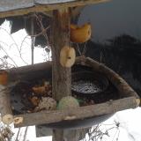 photo 2019-01-28 15-20-33