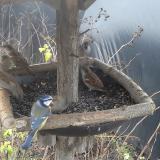 photo 2019-12-25 10-45-39