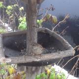 photo 2019-12-02 07-59-53