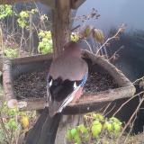 photo 2019-12-12 11-59-05