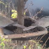 photo 2019-12-21 13-55-06