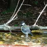 photo 2021-08-09 12-22-56 cinke