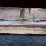 photo 2021-12-09 07-46-06