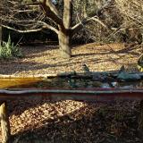 photo 2021-10-29 15-36-53