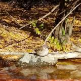 photo 2021-10-24 12-06-48 napozas