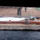 photo 2021-12-05 09-55-55