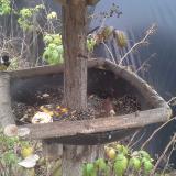 photo 2019-12-08 12-09-58