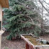 photo 2021-12-12 11-44-43