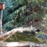 photo 2023-10-12 10-23-31