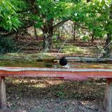 photo 2021-05-08 06-59-13