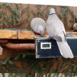 photo 2021-03-05 14-09-46