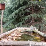 photo 2023-10-08 12-21-46