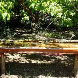 photo 2021-05-10 10-27-43