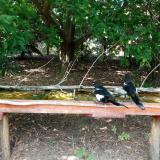 photo 2021-08-12 14-20-43