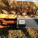 photo 2021-02-21 14-59-59