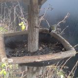 photo 2019-12-26 09-00-33