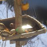 photo 2019-01-27 10-05-24