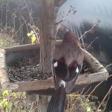 photo 2019-12-25 09-08-20