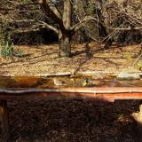 photo 2021-10-27 14-08-41