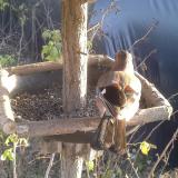 photo 2019-12-17 14-19-52