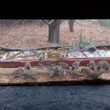 photo 2021-11-22 08-16-09