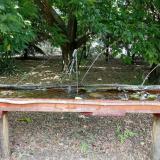 photo 2021-07-02 14-45-54