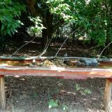 photo 2021-07-22 09-33-01