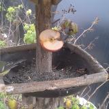 photo 2019-12-05 08-40-12