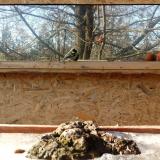 photo 2022-01-19 13-45-27