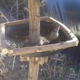 photo 2019-02-23 11-49-55