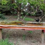 photo 2021-04-26 15-16-31