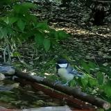 photo 2021-05-14 18-24-08 cinke