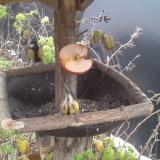 photo 2019-12-04 13-03-20