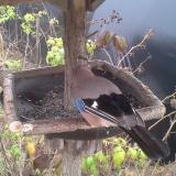 photo 2019-12-12 12-50-28