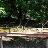 photo 2021-09-10 08-28-11