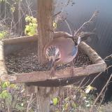 photo 2019-12-19 08-40-57