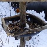 photo 2019-01-06 12-14-49