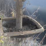 photo 2019-12-31 11-40-41