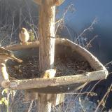 photo 2019-12-30 14-25-44