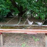 photo 2021-07-05 15-22-43