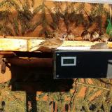 photo 2021-03-02 15-59-53